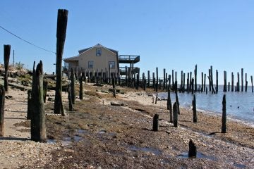 Pilings jut from the sand along the Delaware Bay where the homes of Bay Point once stood. (Emma Lee/WHYY)