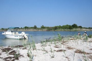 34981_404982294330_4205346_n (Photo: Jenn Husar)