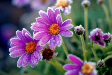  (Photo: RC Designer via Flickr) 