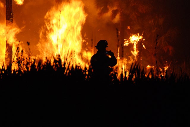  (Photo: Josh O'Connor/US Fish and Wildlife Service) 