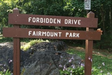  Head to Forbidden Drive and see what you can find along the trails. (Photo courtesy of Jen Bradley) 