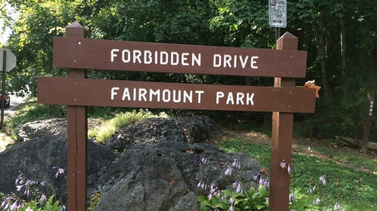  Head to Forbidden Drive and see what you can find along the trails. (Photo courtesy of Jen Bradley) 