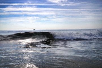  Thursday morning in the ocean off South Seaside Park. (Photo: Justin Auciello/for Newsworks) 