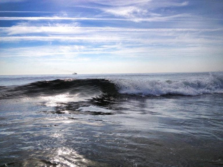  Thursday morning in the ocean off South Seaside Park. (Photo: Justin Auciello/for Newsworks) 