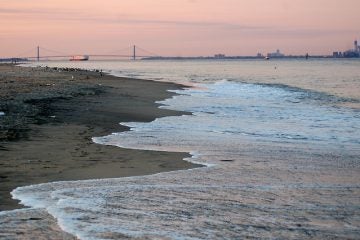 Sandy Hook's Gunnison Beach. (Photo: 3twenty6 via Flickr Creative Commons)