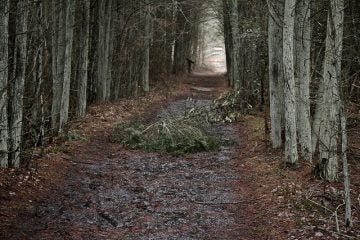 A trail in Double Trouble State Park. (Photo: Hypnotica Studios Infinite/stinkiepinkie_infinity via Flickr)