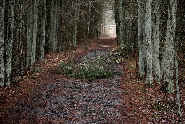 A trail in Double Trouble State Park. (Photo: Hypnotica Studios Infinite/stinkiepinkie_infinity via Flickr)