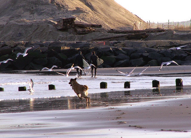  Loch Arbour in Feb. 2006. (Image: Sister72 via Flickr) 