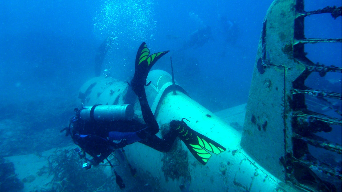  A diver swims beside one of the plane. (Mark Moline/University of Delaware) 