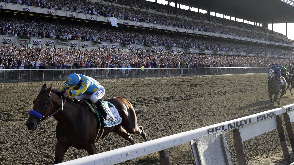  American Pharoah and jockey Victor Espinoza cross the finish line to win the 147th running of the Belmont Stakes horse race at Belmont Park, Saturday, June 6, 2015, in Elmont, N.Y. American Pharoah is the first horse to win the Triple Crown since 1978. (AP Photo/Julio Cortez)  