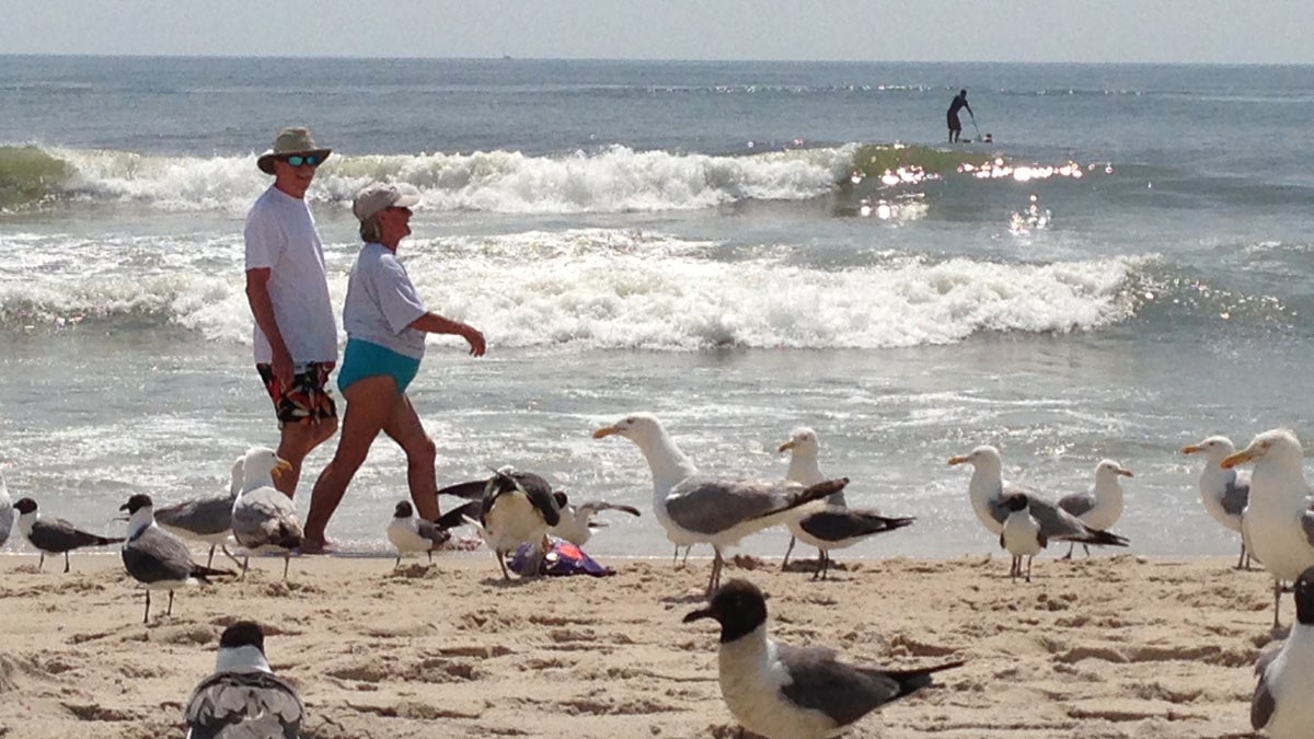Only New Jersey beaches with state employees would be closed if there's a government shutdown, says Joe Simonetta, executive director of New Jersey Tourism Industry Association. That means 100 miles of shoreline will remain open to visitors.  (AP file photo) 
