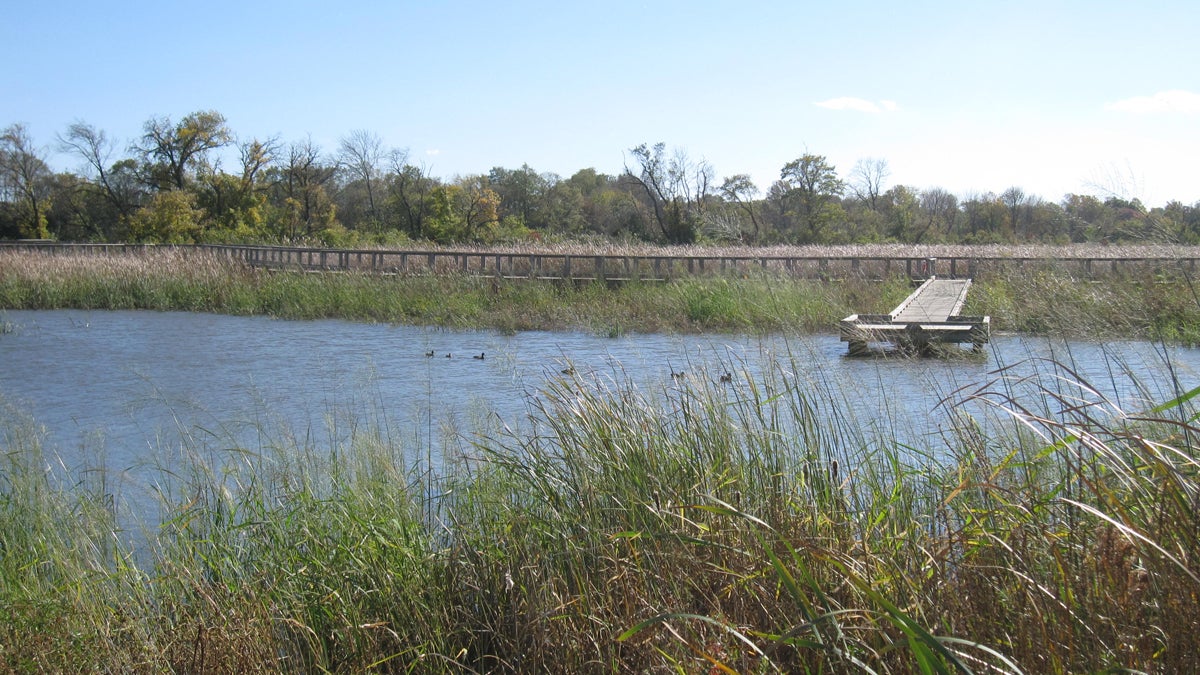  The Russell Peterson Urban Wildlife Refuge sits along the  Christina River in Delaware. Testing for toxins will begin in the Christina River basin Monday. (AP file photo) 
