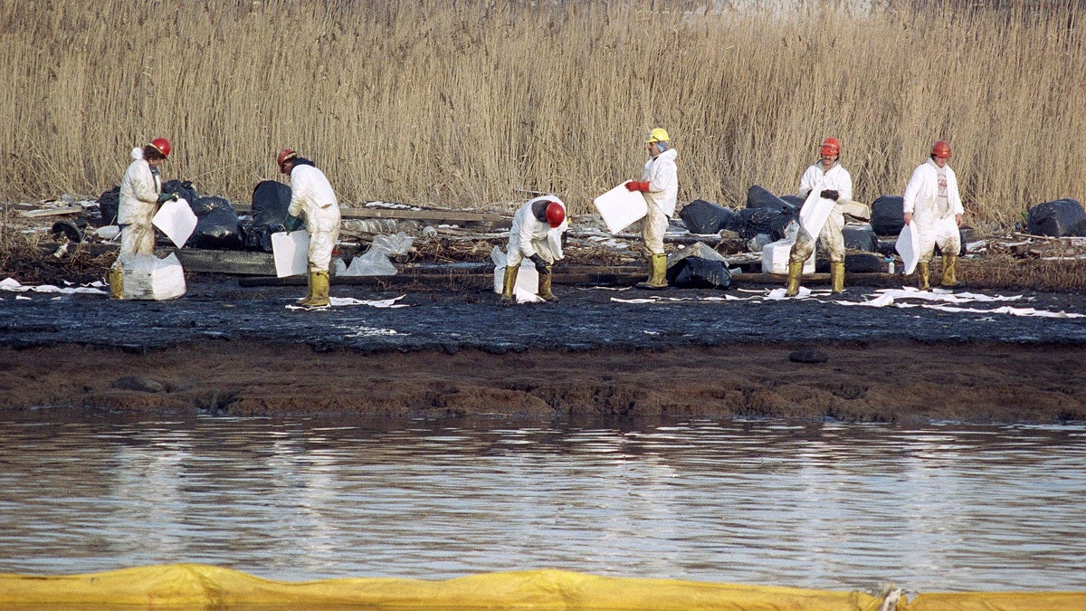 Cleanup workers lay down absorbent sheets to clean bird sanctuary Pralls Island between Linden, New Jersey and Staten Island, New York (AP file photo) 