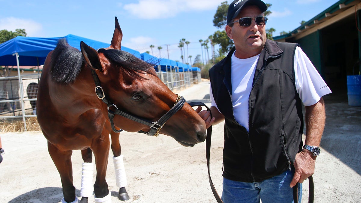  Triple Crown champion American Pharoah looks for a treat in the hand of assistant trainer Jim Barnes in the stables at Del Mar Thoroughbred Club in California. The  first Triple Crown winner  in 37 years will appear Sunday at the Haskell Invitational at New Jersey's Monmouth Park. (Lenny Ignelzi/AP Photo) 