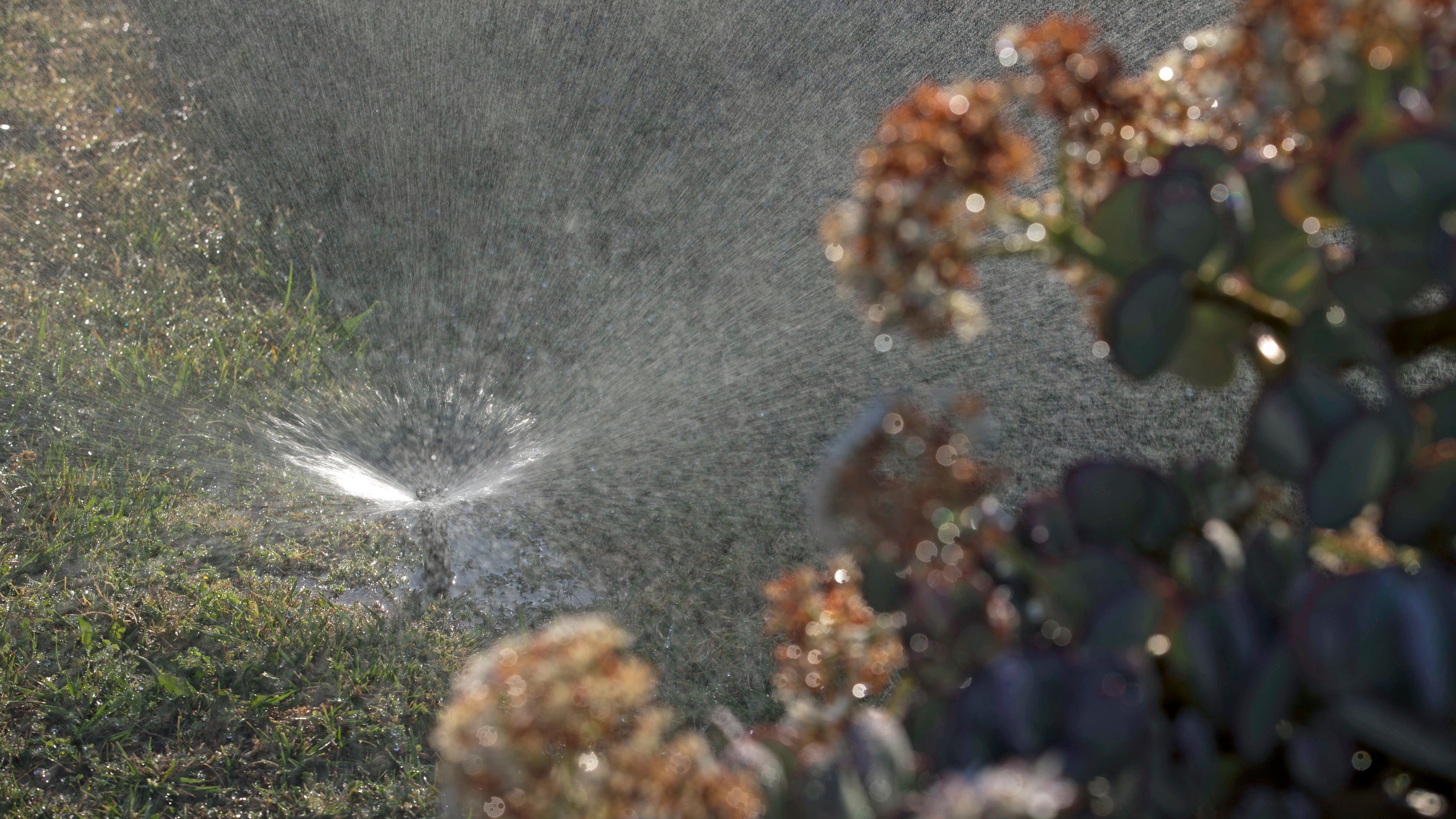 (Jae C. Hong/AP Photo)