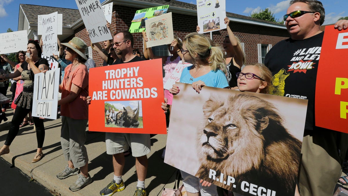Protesters gather outside Dr. Walter James Palmer's dental office in Bloomington