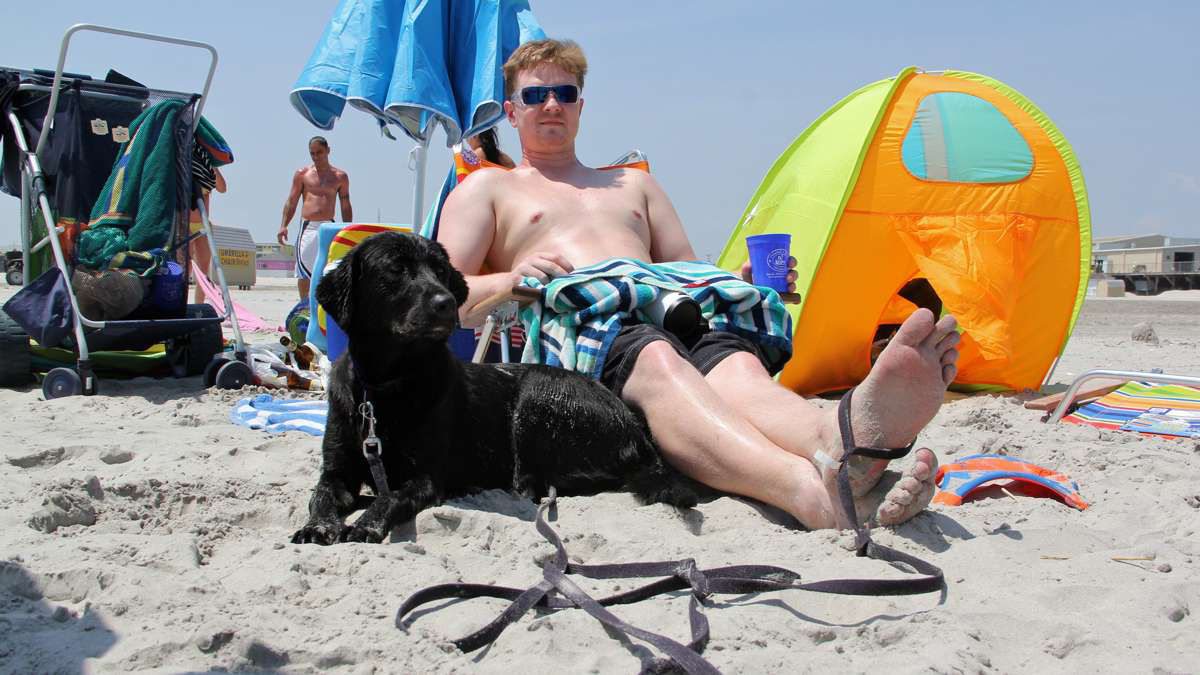  Lulu, of Glenside, Pa., enjoys a day by the water with her friend Tim Damoth, thanks to Wildwood's new dog beach. (Emma Lee/WHYY) 