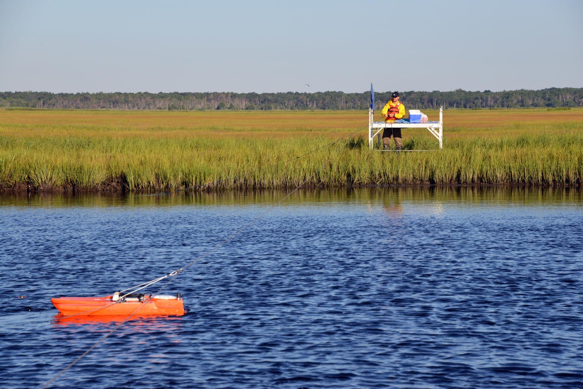 USGS scientist Zafer Defne measures water and sediment movement at Forsythe National Wildlife Refuge