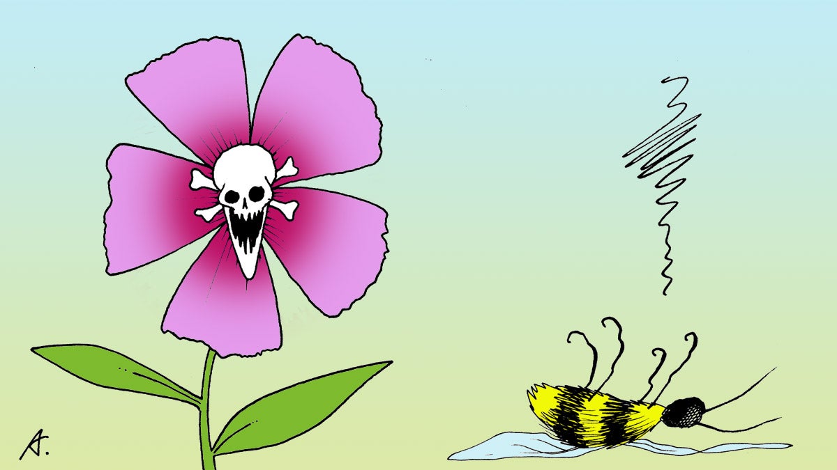 New research shows that bumblebees are catching a honeybee disease