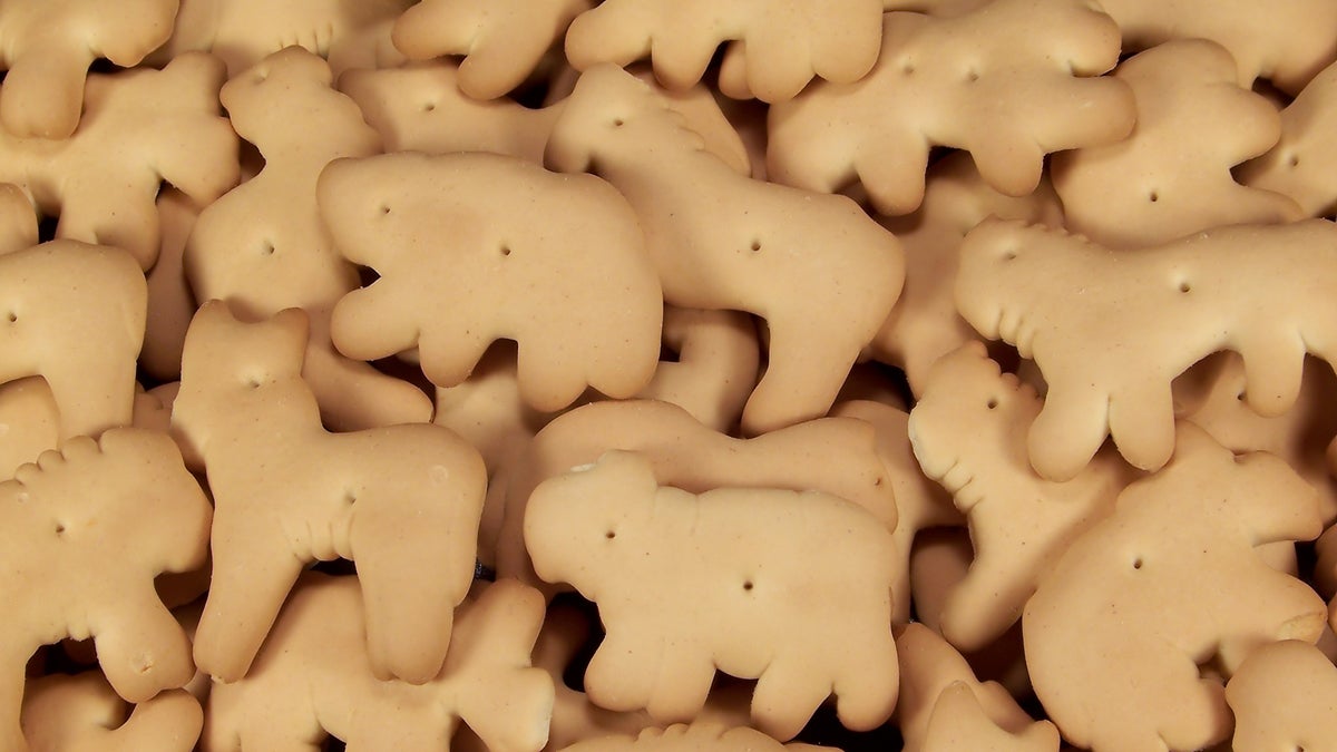 (<a href='http://www.bigstockphoto.com/image-2029240/stock-photo-animal-crackers'>Big Stock</a>)