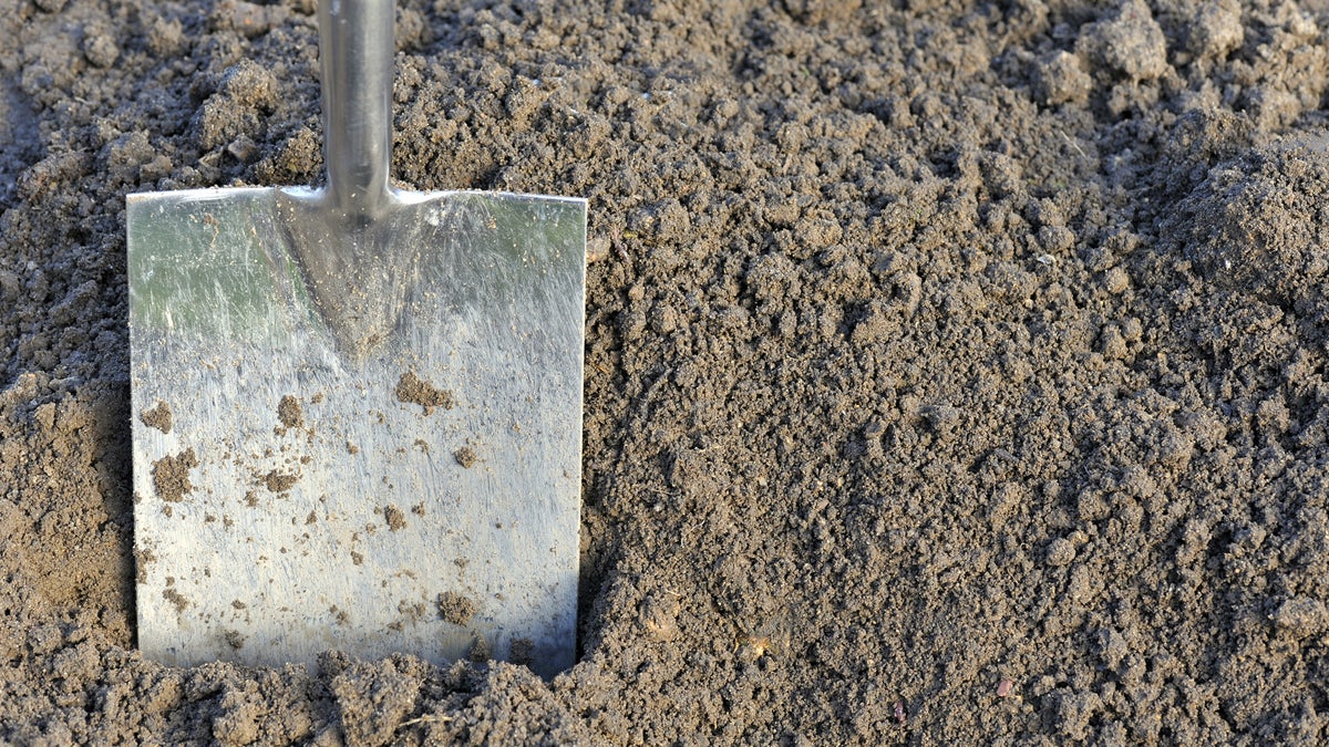 Call a spade a spade (<a href='http://www.bigstockphoto.com/image-123432512/'>Big Stock</a>)