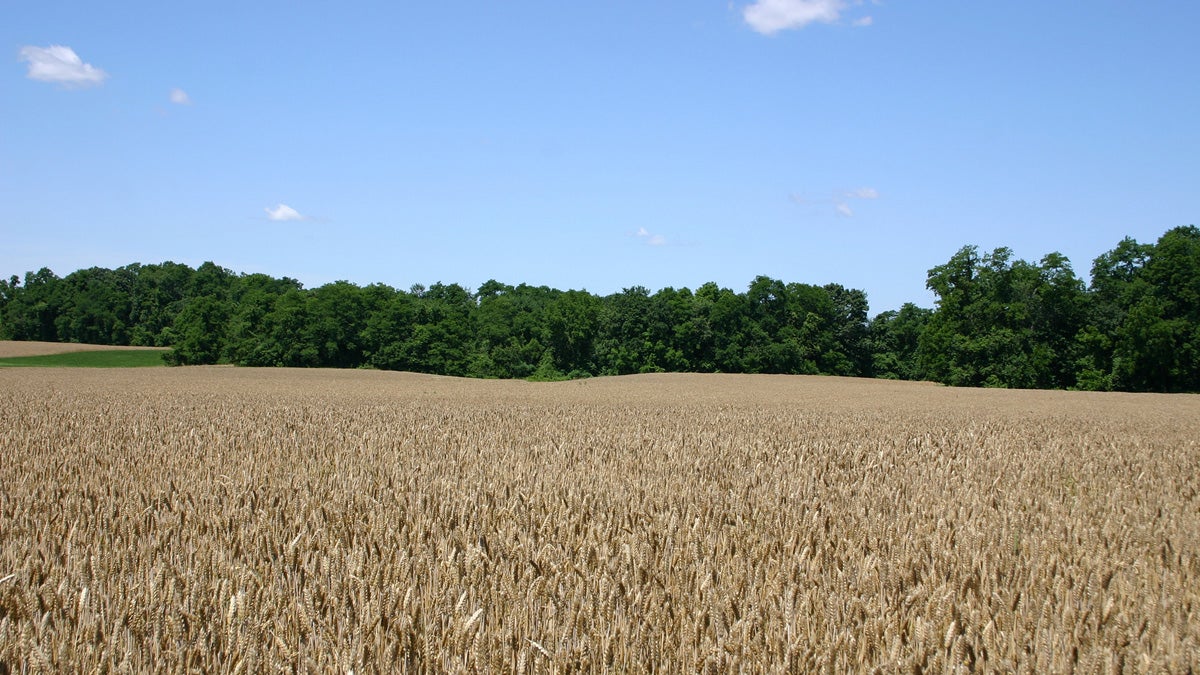 Acquisition of farmland for preservation in New Jersey is stalled because a state funding initiative has not been implemented more than a year after voters endorsed it. (Bigstock)