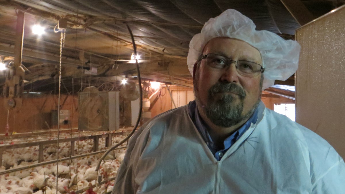 University of Delaware Agricultural Extension Agent Bill Brown says asking farm visitors to wear protective personal equipment is part of Delmarva’s biosecurity plan to protect the poultry industry from highly pathogenic avian influenza. (Taunya English/WHYY)