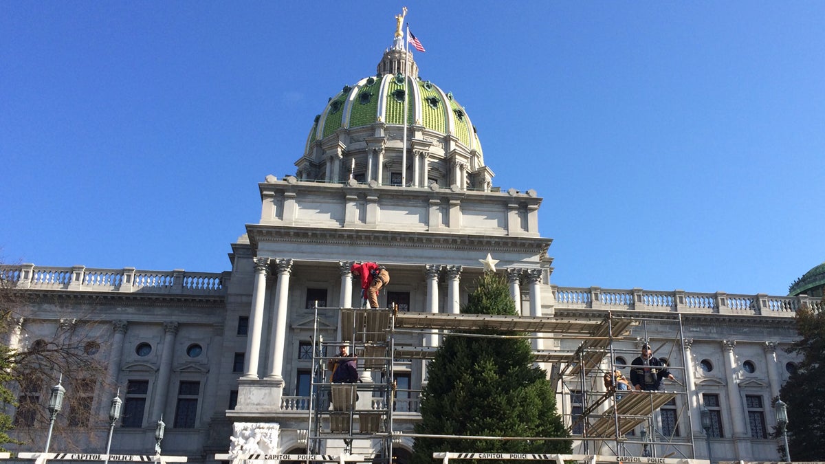  The Commonwealth's facilities and maintenance staff set up a tree donated by the Pennsylvania Christmas Tree Growers' Association on the front steps of the Capitol in Harrisburg. (Emily Previti/WITF) 