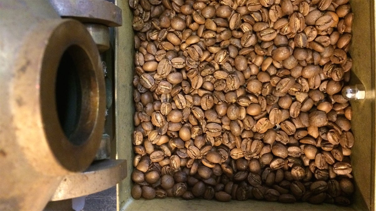 These freshly roasted beans were pea green just moments prior