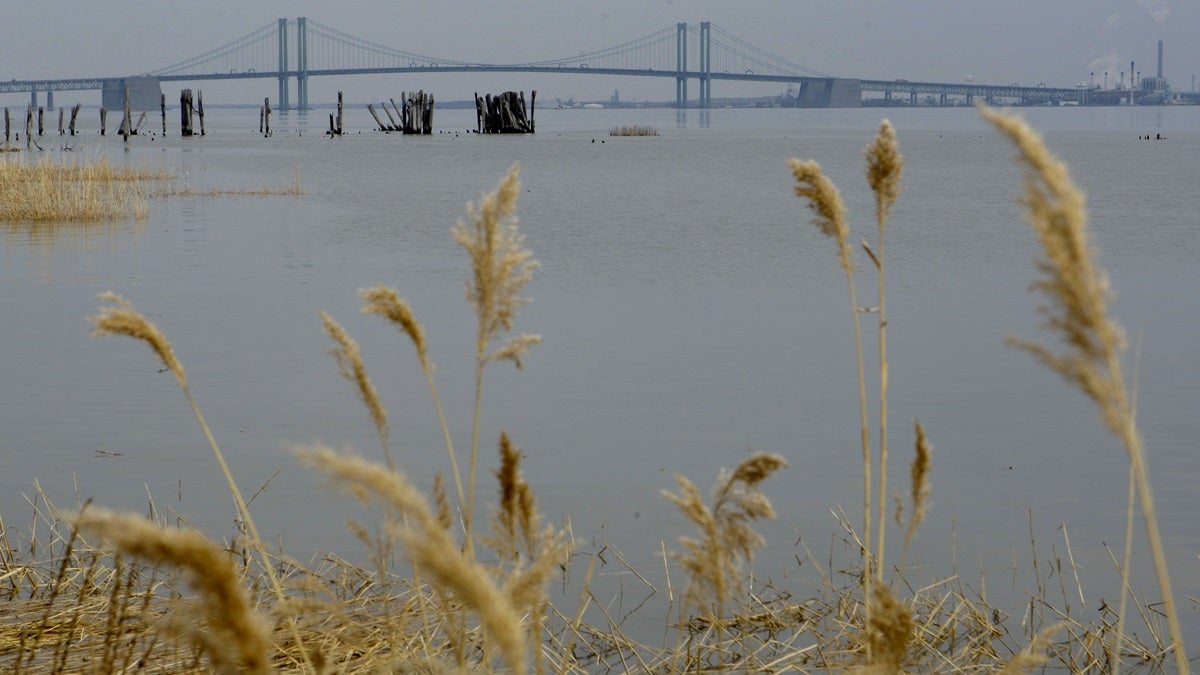  The Delaware River with the Delaware Memorial Bridge in the background seen from the banks of New Castle. (AP Photo/Matt Rourke) 