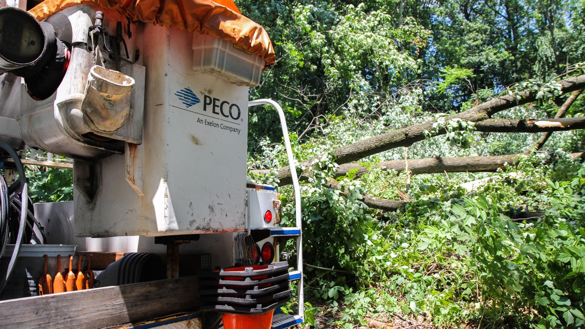 Peco trucks work around an uprooted tree to repair damaged power lines in A tree is down after severe winds from storms in  Brookhaven Borough. (Kimberly Paynter/WHYY)