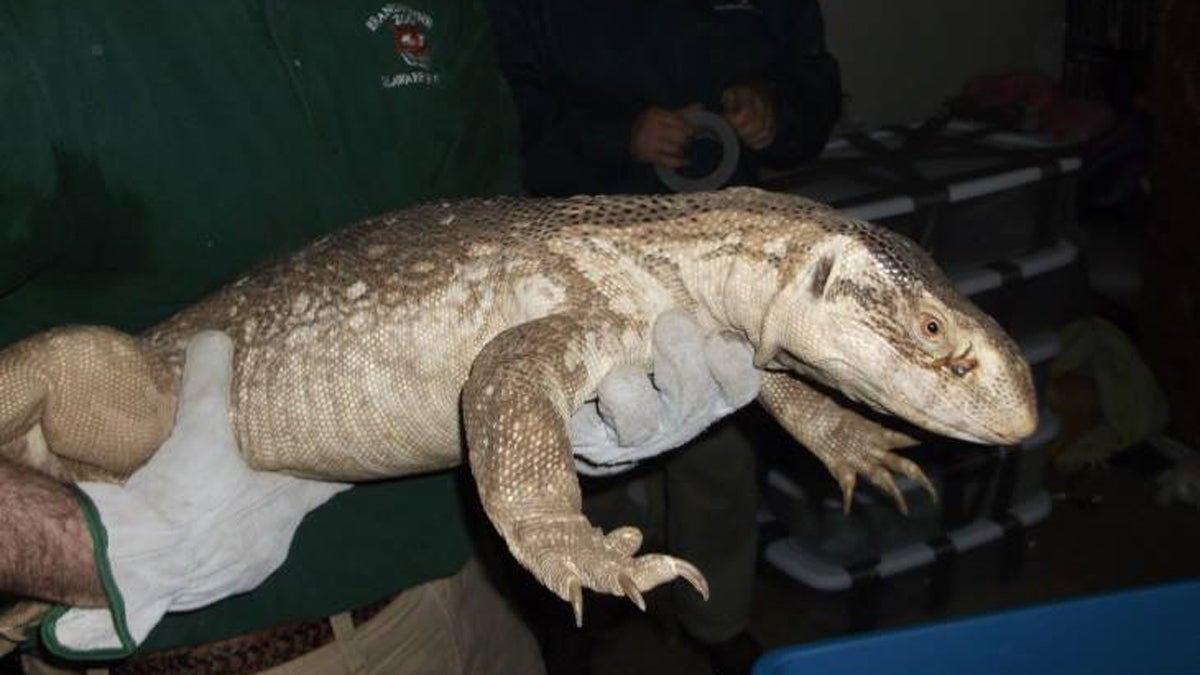  (Photo courtesy of New Castle County Police Department) 