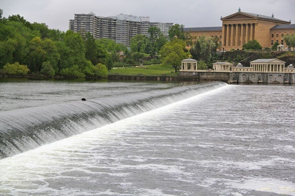  Head to Fairmount Water Works for a lesson on how fish deal with the cold. (Emma Lee/WHYY, file) 