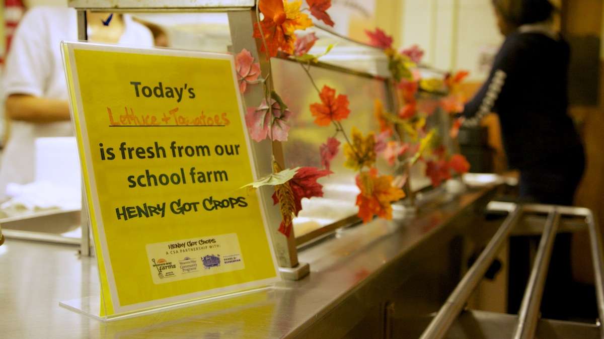  Read about a new initiative at W.B. Saul that uses food grown at the Roxborough school's farm in the cafeteria. (Nathaniel Hamilton/for NewsWorks) 