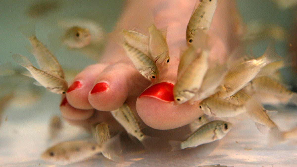  The Supreme Court let stand a ban by local regulators. (AP Photo/Jacquelyn Martin) 