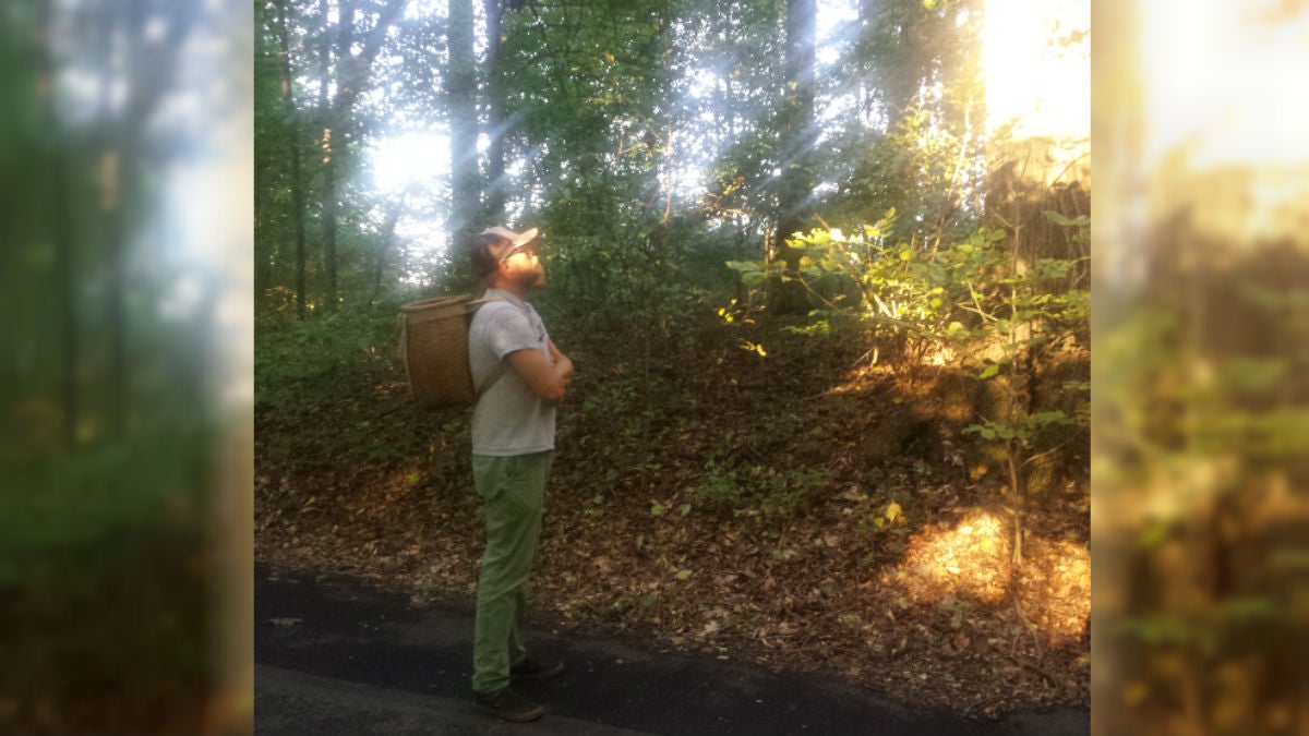 Tim Mountz looks for wild food growing at Winterthur. (Andrea Gibbs/WHYY)