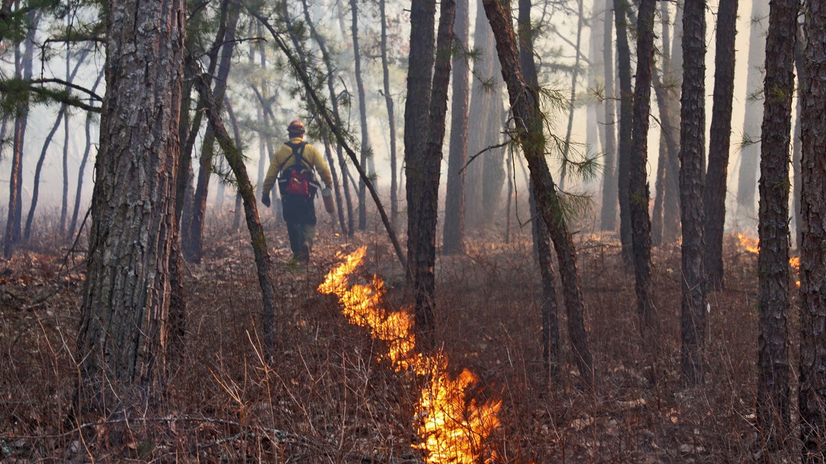 Crews from the  New Jersey Forest Fire Service are  beginning seasonal burns of twigs and fallen leaves to help prevent spring wildfires from spreading put of control. (New Jersey Forest Fire Service photo)