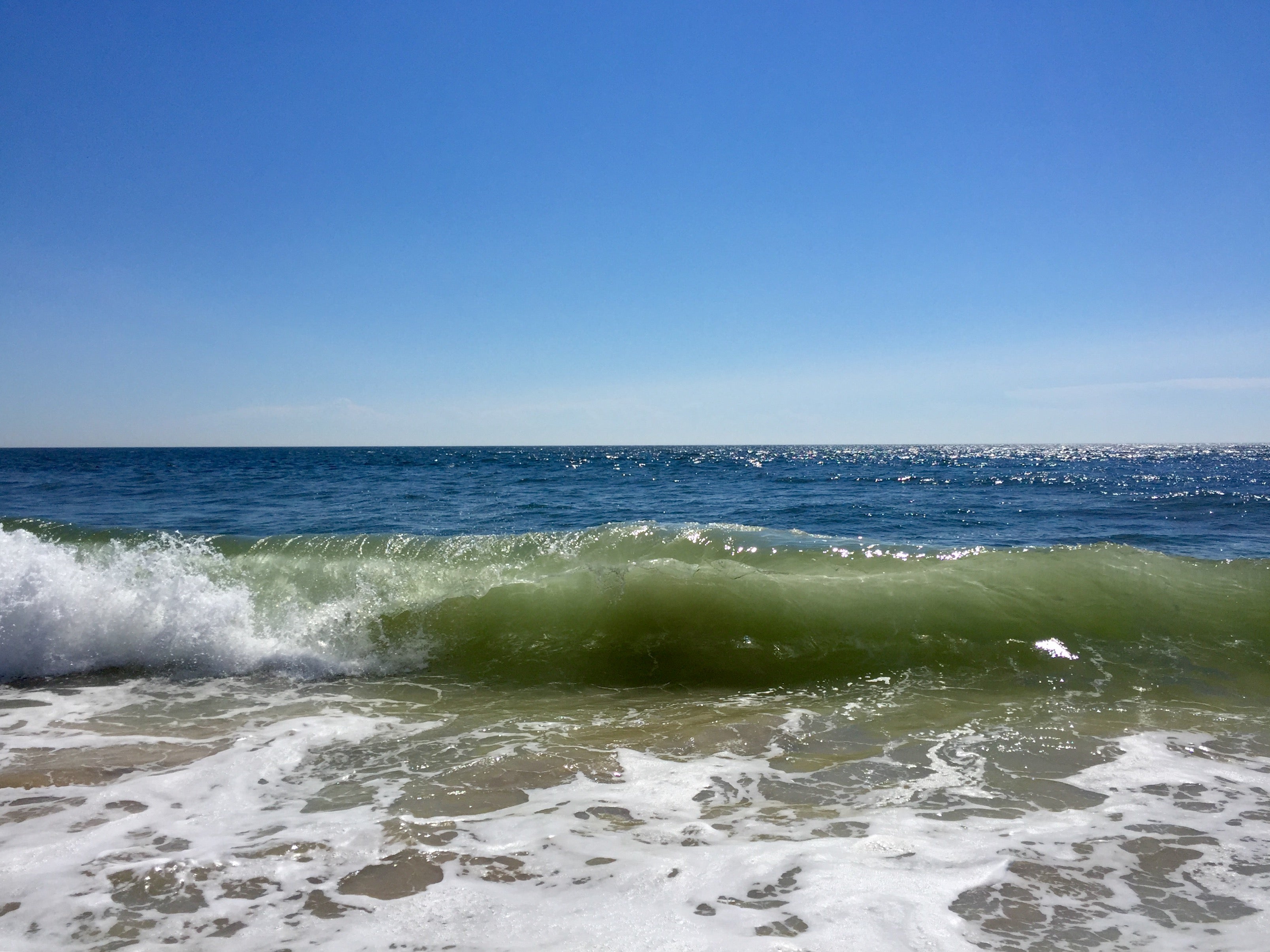 Jersey sales shore ocean