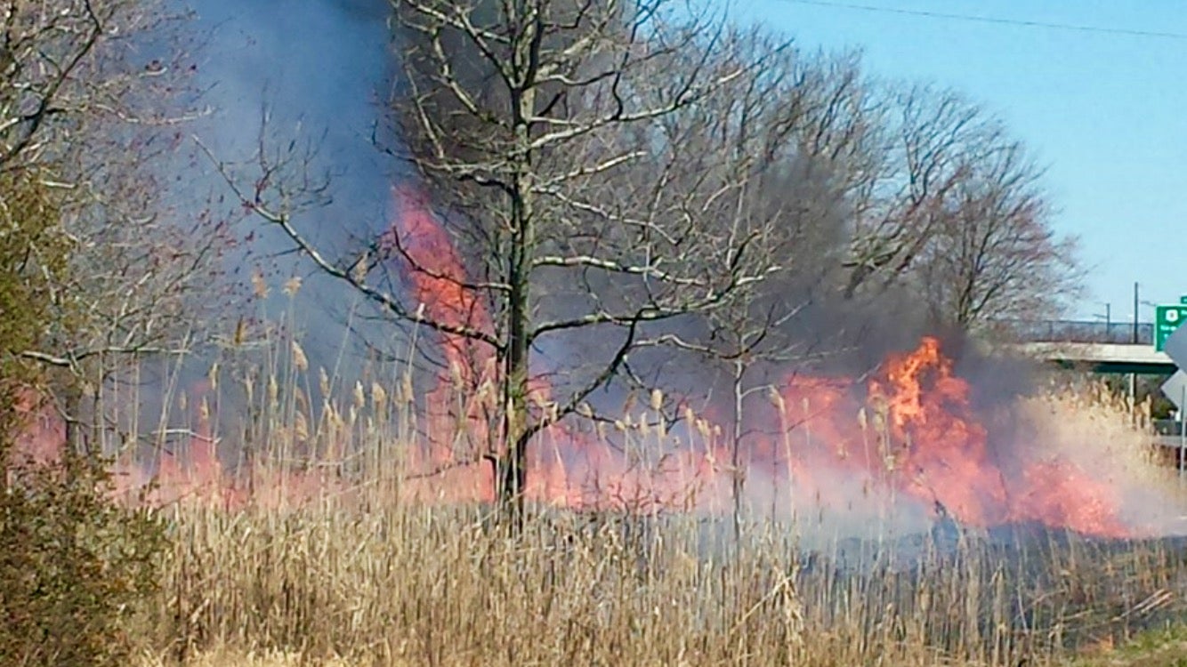 A large brush fire burning near the Garden State Parkway this afternoon in Port Republic. (Photo: JSHN contributor Steve Frey)