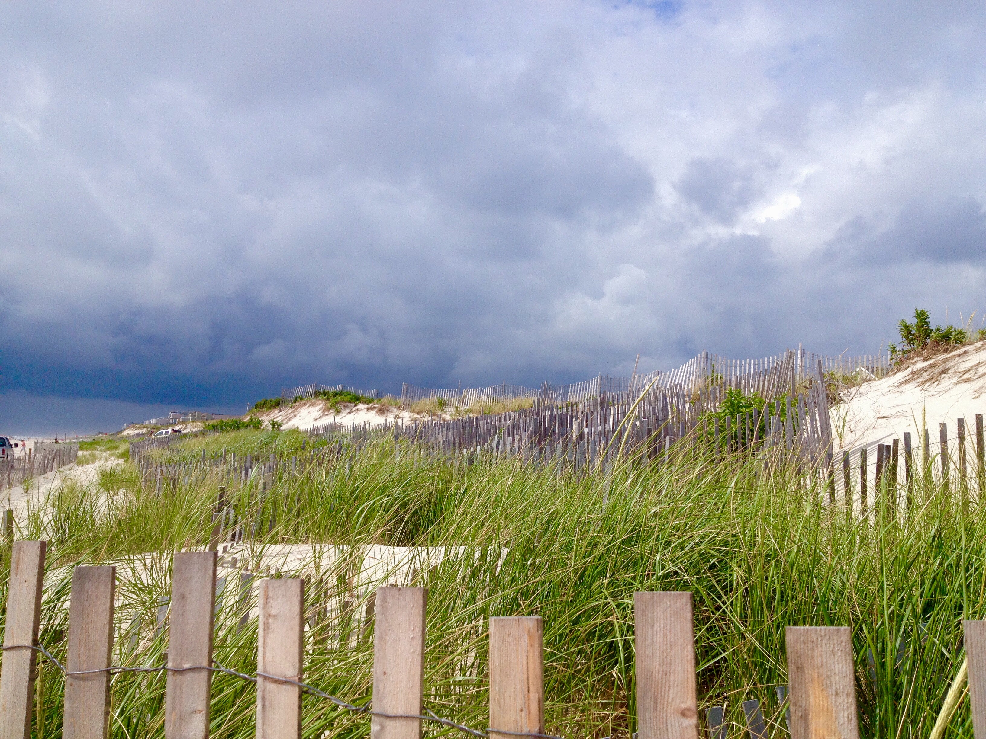 South Seaside Park dunes in August 2014. (Photo: Justin Auciello/JSHN)