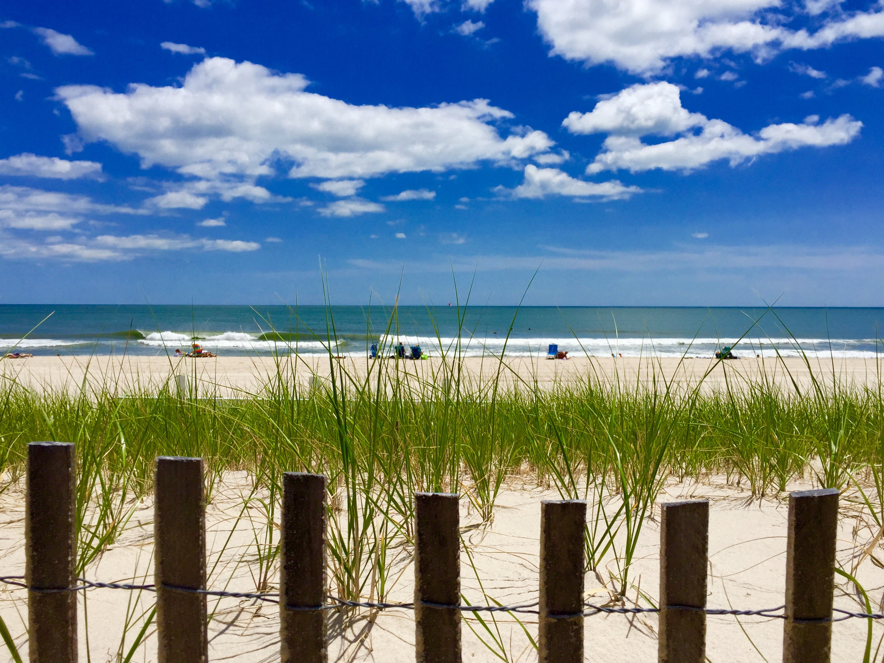  A Seaside Park dune. (Photo: Justin Auciello/for NewsWorks) 
