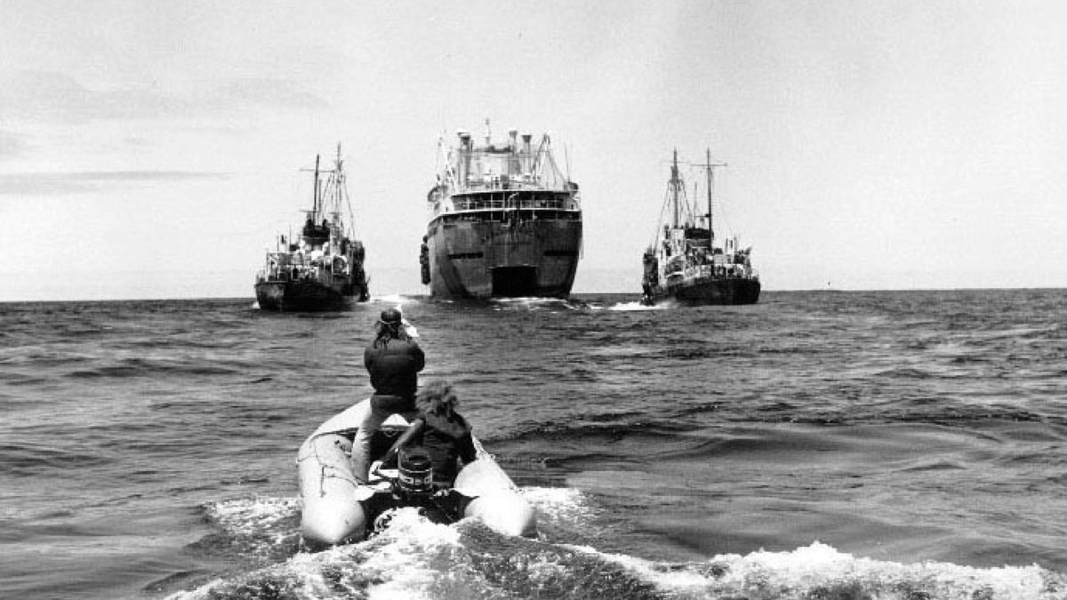  Green Peace activists approach Russian tankers. (Photo from  the film A Fierce Green Fire) 
