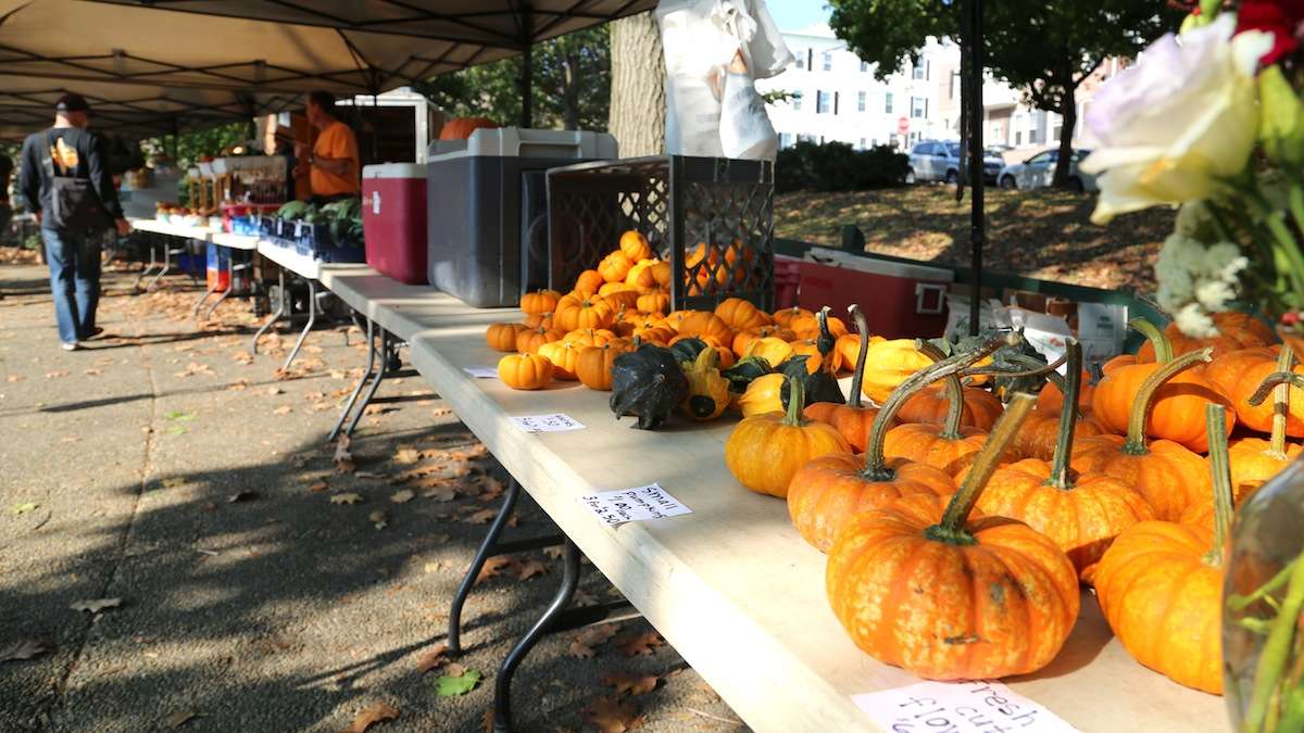 The Pretzel Park Farmers Market offered fresh and seasonal produce. (Natavan Werbock/for NewsWorks)