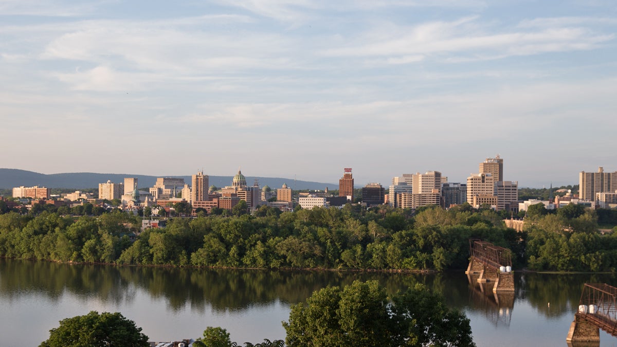  Harrisburg's skyline as seen from Negley Park. (Lindsay Lazarski/WHYY) 