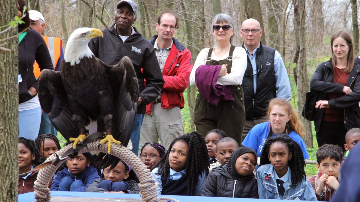 Children visiting the  John Heinz National Wildlife Refuge at Tinicum learn about bald eagles. (Emma Lee/WHYY)