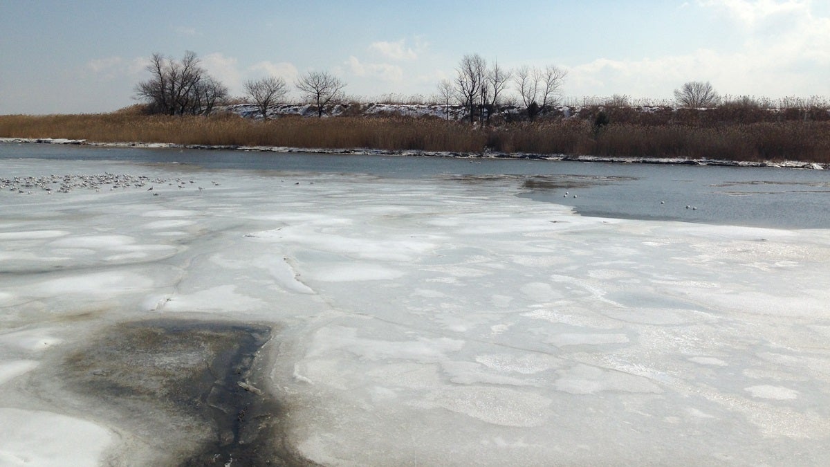  Icy water in the Delaware City Branch Canal. This area is one portion of the state that could be susceptible to sea-level rise. (Mark Eichmann/WHYY) 