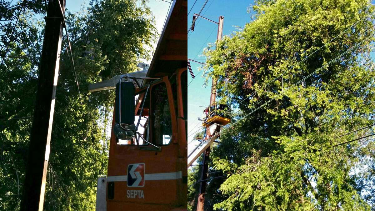  SEPTA crews work to remove downed trees on the Media/Elwyn Line between 49th Street and University City stations. (Photos courtesy of SEPTA Media Relations) 