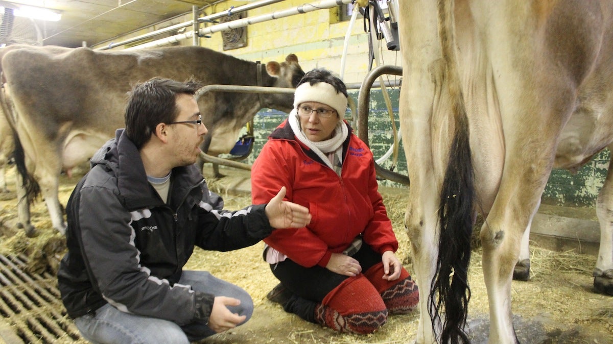  State Rep. Pam DeLissio preparing for the milking contest with help from David Ruvarac, an agricultural science teacher at Saul High School. (Matt Grady/for NewsWorks) 