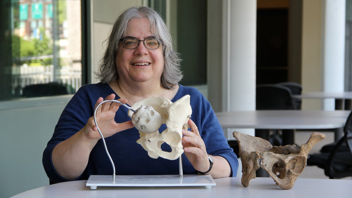 University of Delaware anthropologist Karen Rosenberg says the evolution of our huge human heads and the engineering of the bi-pedal pelvis necessarily make birth a social process. (Emma Lee/WHYY)