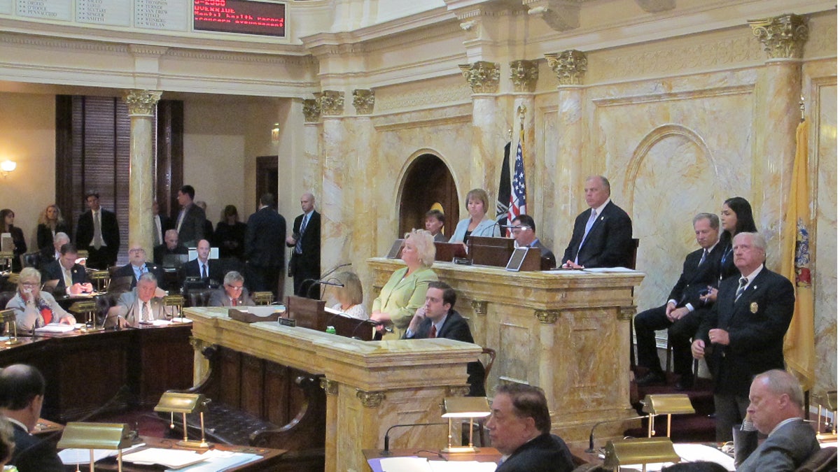  A previous override attempt failed in New Jersey's Senate Sept. 24. (Phil Gregory/WHYY) 